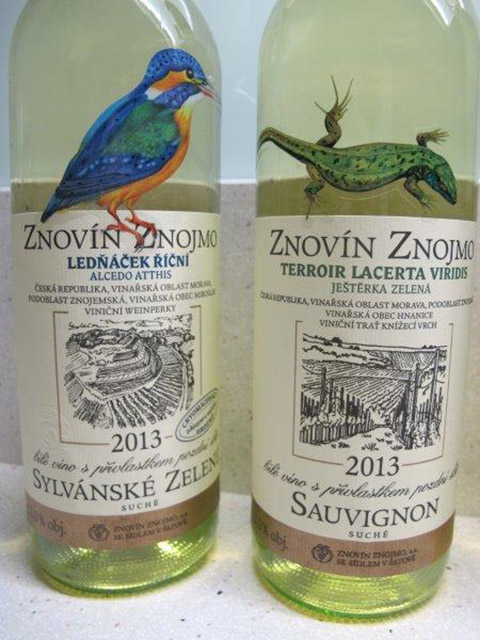 IMG_ 3 en 4 Moravia Sylvanske Sauvignon
